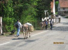 img_8190-0.JPG