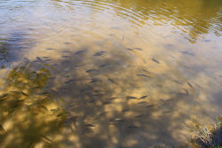 img_8407-0.JPG