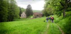 photo1-0.jpg